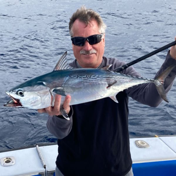 Florida Offshore Fishing Charters